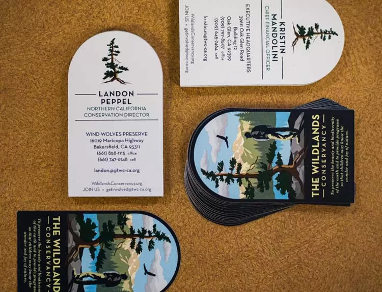 Die Cut Business Card Finishing