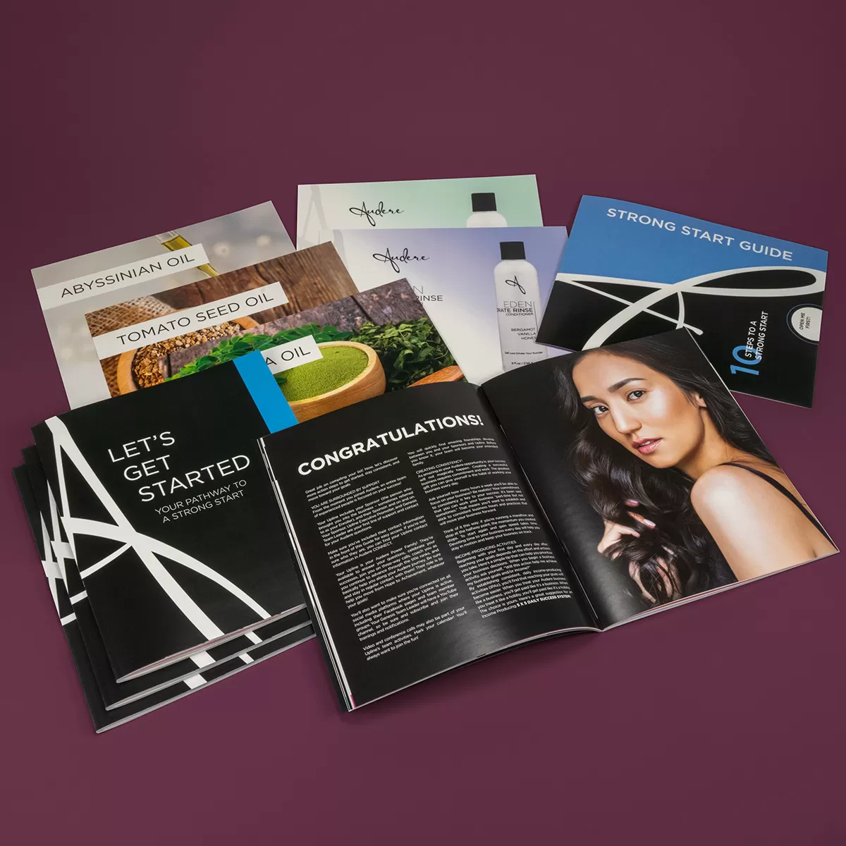 Audere Sales Kit